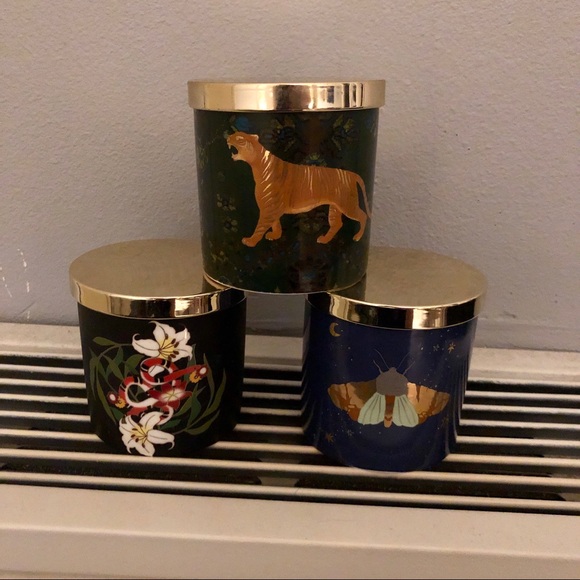 Urban Outfitters Other - Urban Outfitters Ceramic Canisters